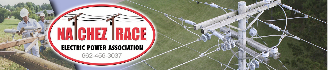 Natchez Trace Elec Power Assn